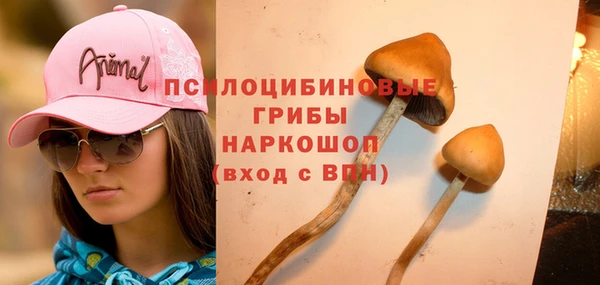 каннабис Горно-Алтайск